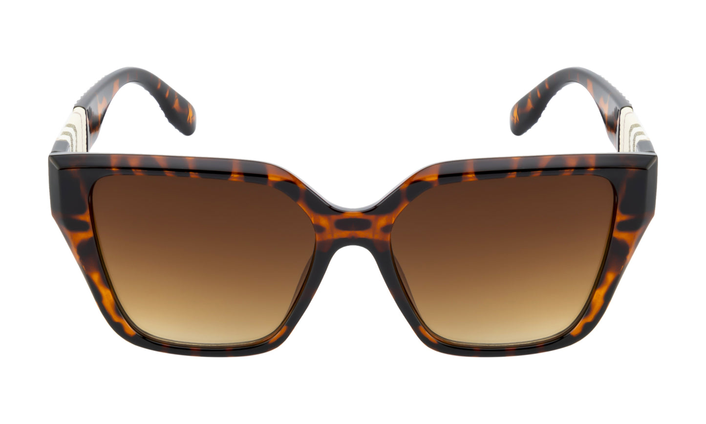 Clark N Palmer Modern Square Shades