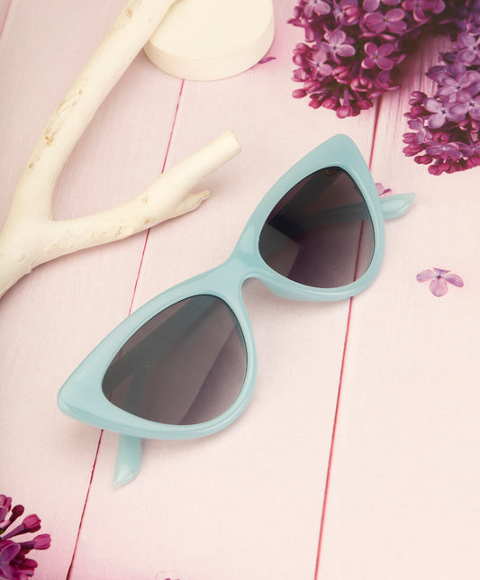 Clark N Palmer Elite Eclipse Cat-Eye Sunglasses