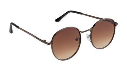 Clark N Palmer Coffee Brown Aviator Sunglasses