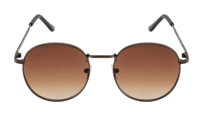 Clark N Palmer Coffee Brown Aviator Sunglasses
