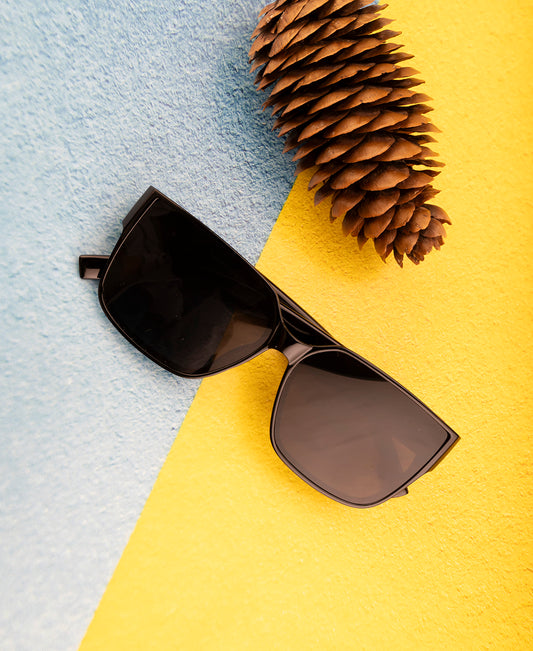 Clark N Palmer Oversized Matte Black Sunglasses